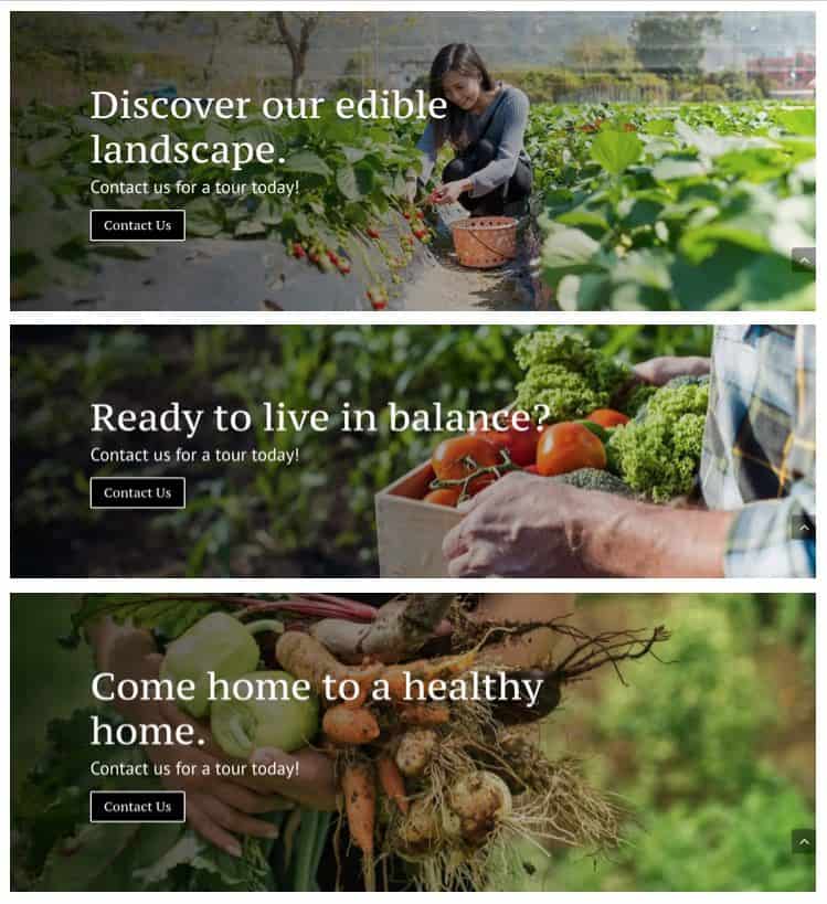 3 call to actions from a Fresh Egg's client site that use stock photos well